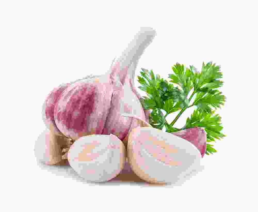 Shop Primary Image Shop Primary Image