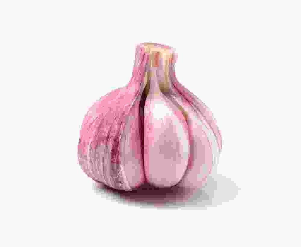 Shop Secondary Image Shop Secondary Image