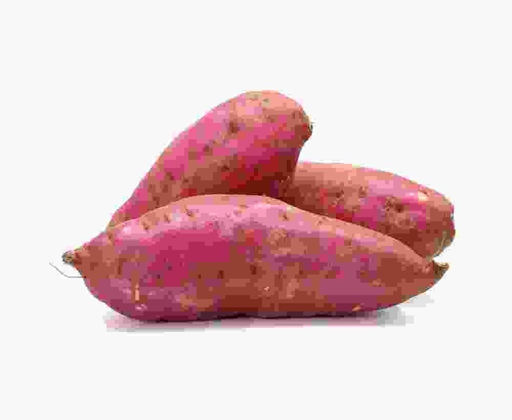 Shop Primary Image Shop Primary Image